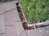 Gutters filled with debris (do you think it drains well?)