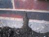 Nice termite tunnel, huh?